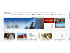 這樣的網(wǎng)站你值得擁有，專(zhuān)業(yè)網(wǎng)站制作，維護(hù)，優(yōu)化.