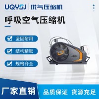 BAUER德國寶華 PE10進口高壓呼吸空氣壓縮機 潛水消防專用